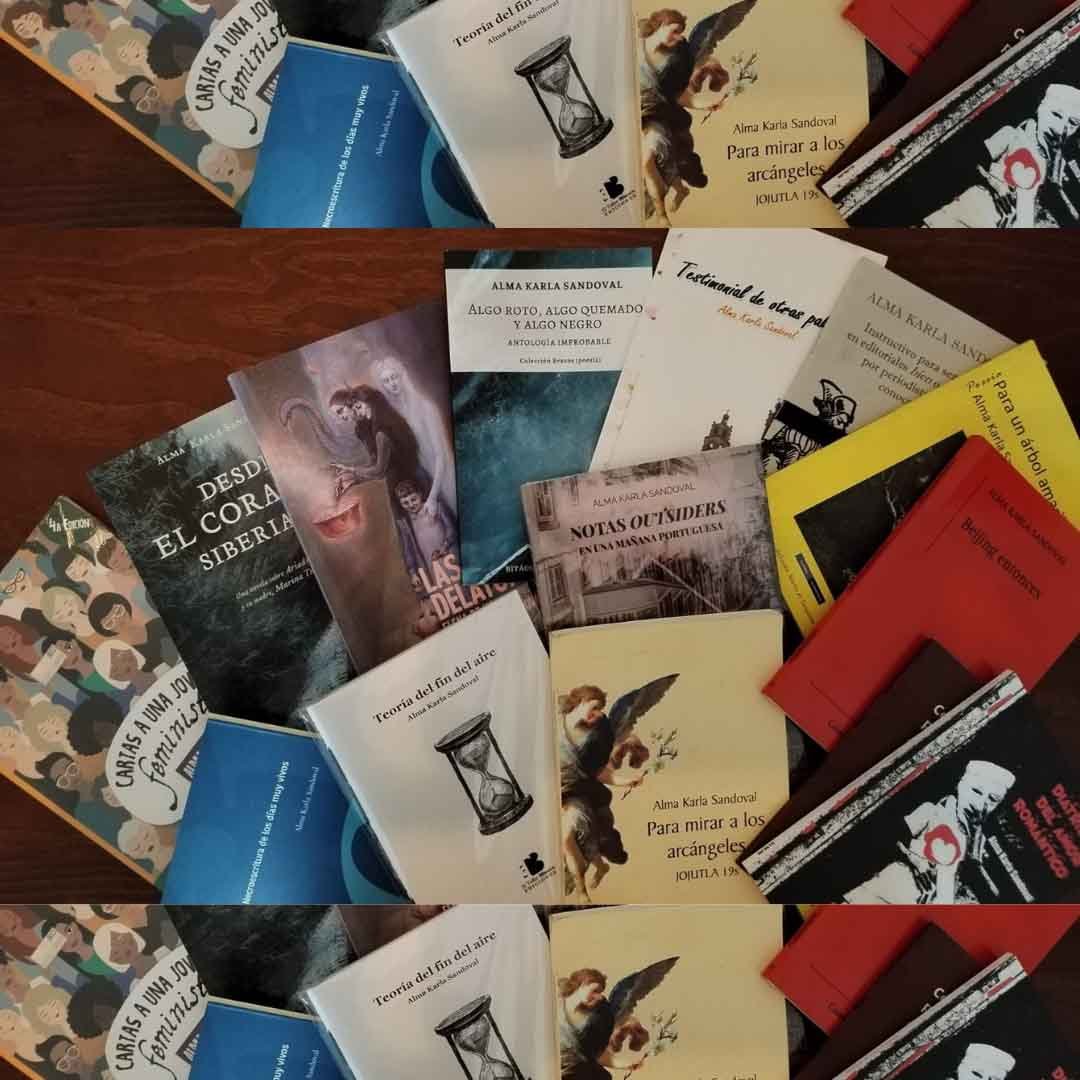 seccion libros